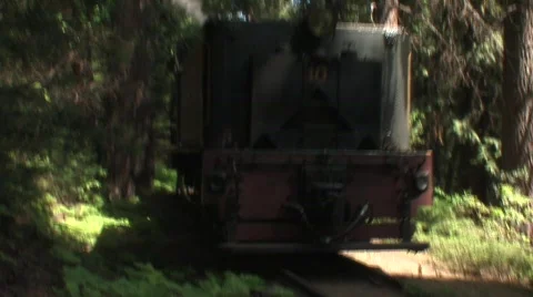 Steam train passing 6 Stock Footage 479608