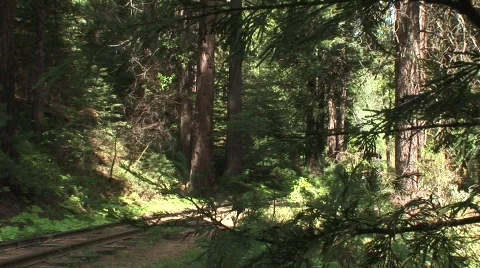 Steam train passing 7 Stock Footage 479602