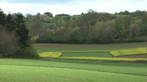 Steam train passing Video stock 130898