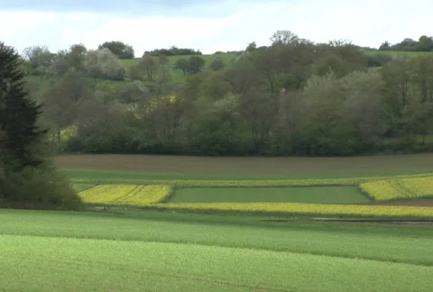 Steam train passing Stock Footage