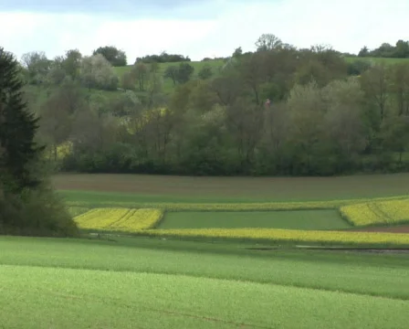Steam train passing Stock Footage 131001