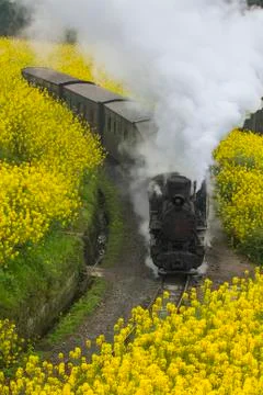Steam train Stock Photos