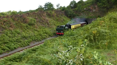 Steam train producing smoke emerging from railway tunnel Stock Footage 80295262