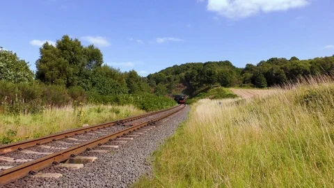 Steam train producing smoke emerging from railway tunnel Stock Footage 80320396