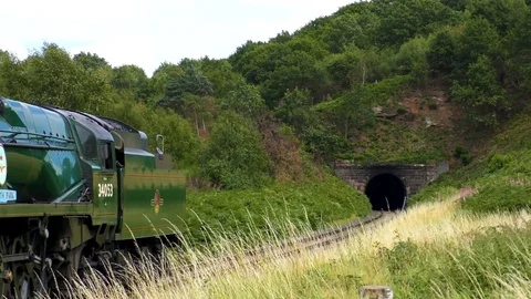 Steam train producing smoke entering countryside railway tunnel Stock Footage 80292515