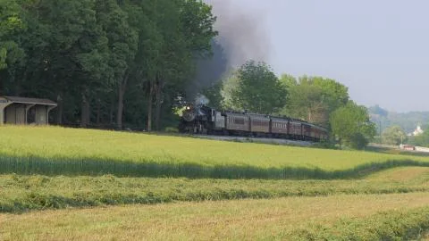 Steam Train pulling into Picnic Area Foto stock