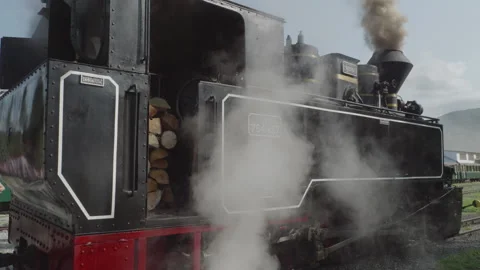 Steam Train in Rail Station Stock Footage 318180313