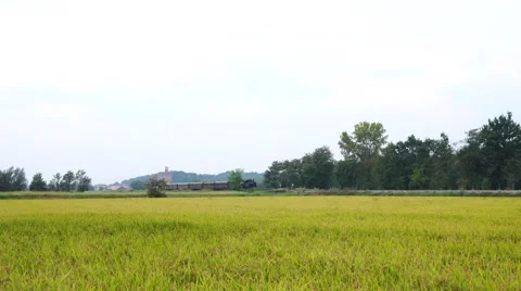 Steam train running between rice fields in the countryside Stock Footage 67289807