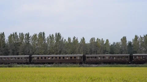 Steam train running between rice fields Stock Footage 67455931