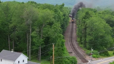Steam Train Travels Through Forest Area Near a Small Town During Daylight Hou Stock Footage 341436257