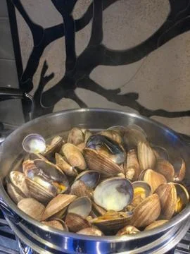 Steamed Clams Stock Photos