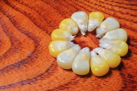 The steamed corn of the pearl corn is distinguished by the yellow and white k Foto stock