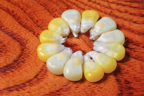 The steamed corn of the pearl corn is distinguished by the yellow and white k Stock Photos