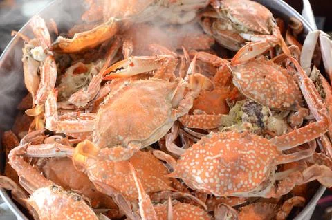 Steamed crab Stock Photos