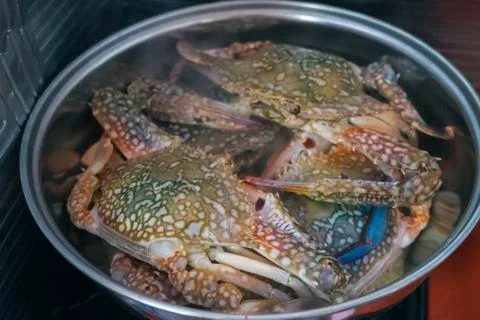 Steamed crab Stock Photos