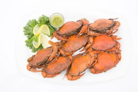 Steamed crab on white background. Foto stock