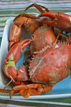 Steamed crabs 2 Stock Photos