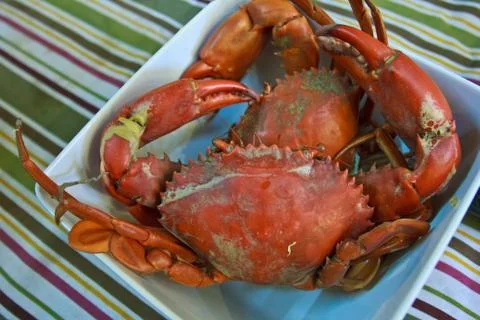 Steamed crabs 3 스톡 사진