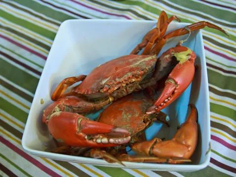 Steamed crabs 4 스톡 사진