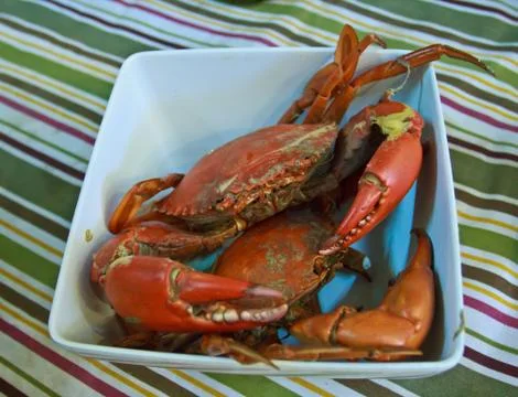 Steamed crabs 5 Stock Photos
