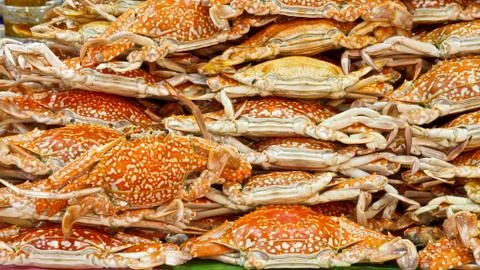 Steamed crabs Stock Photos