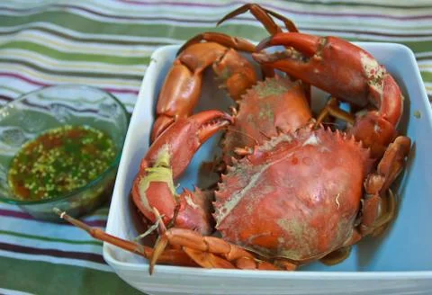 Steamed crabs Stock Photos