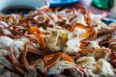 Steamed crabs Stock Photos