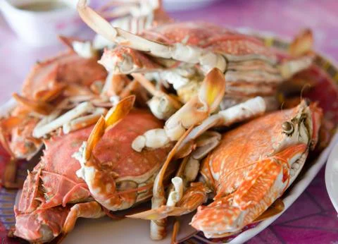 Steamed crabs Stock Photos