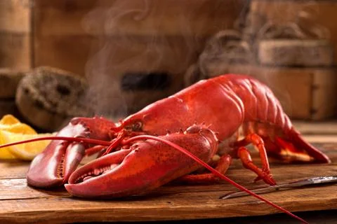 Steamed lobster Stock Photos