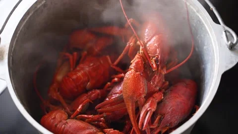 Cooked Lobster Stock Photo, Picture and Royalty Free Image. Image