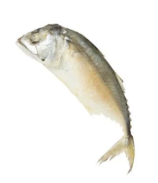 Steamed mackerel Stock Photos