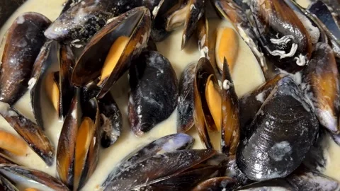 Steamed Mussels Delight Stock Footage 310494082