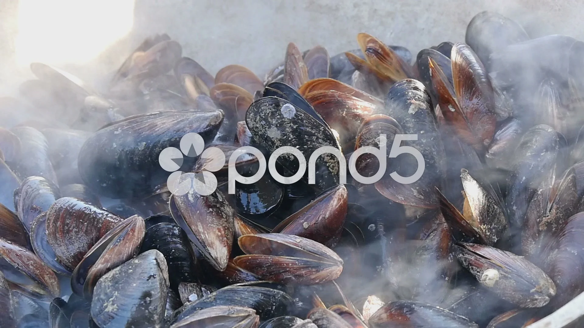 Black Mussels in Tomato, Coconut Milk & Lemongrass Sauce - The Posh  Pescatarian