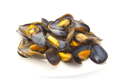 Steamed Mussels Foto stock