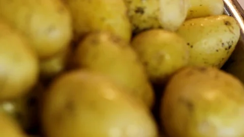 Steamed potatoes Stock Footage 77582336