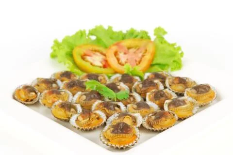Steamed scallop on white background Stock Photos