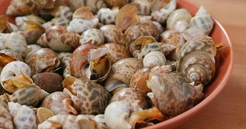 Steamed snail dish Stock Footage 96180398