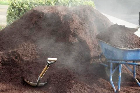 Steaming bark dust Stock-Fotos