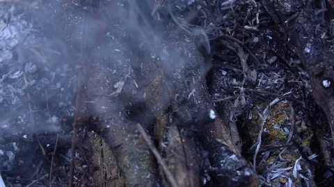 Steaming burnt grass. Ash close-up. Slow motion Video stock 73615711