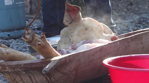 Steaming Chopped Pork Stock Footage 45128054