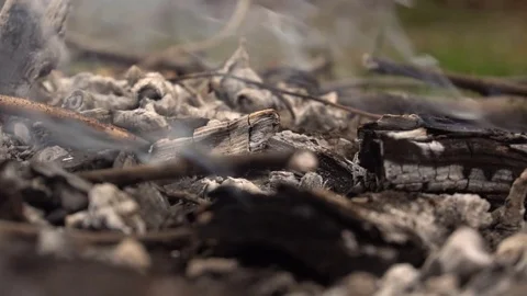 Steaming coals and ash from the fire. Slow motion Video stock 73888272