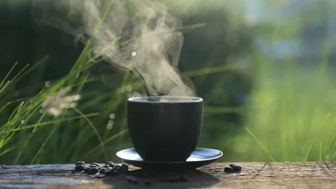 Steaming Coffee in Nature with Fresh Beans Stock Footage 295086805
