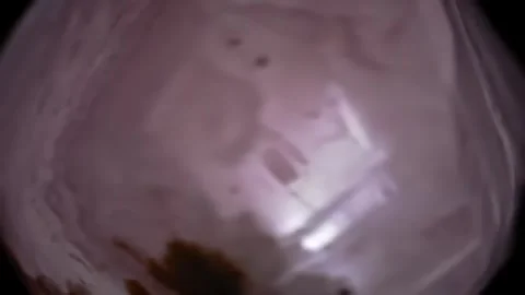 Steaming Content In Plastic Bag on Black Backdrop Stock Footage 313324210