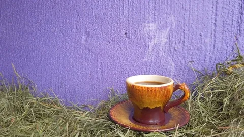 Steaming Cup of coffee on the hay Stock Footage 113463221