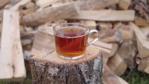 Steaming cup of freshly brewed black tea, set on log, against backdrop of pile Stock Footage 315057767