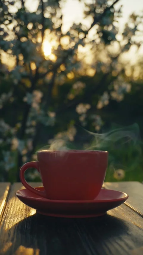 Steaming cup of tea on wooden table with blooming flowers and sunlight creating Stock Footage 335406973