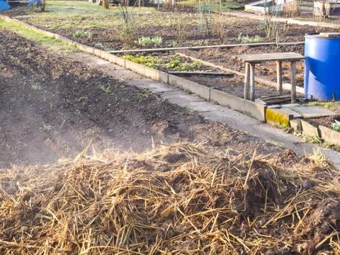 Steaming dung on a vegetable garden bed Stock Photos