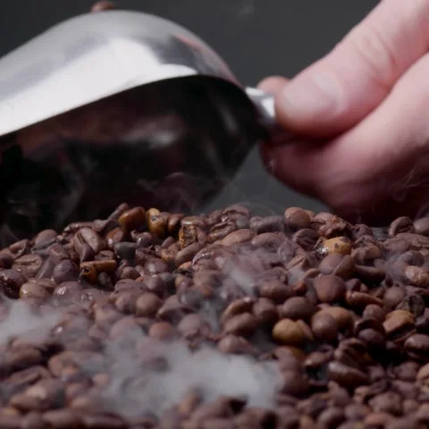Steaming Freshly Roasted Coffee Beans Being Scooped with Metal Shovel in Macro Stock Footage 322523754