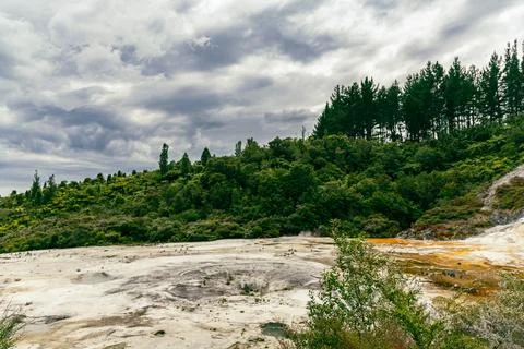 Steaming Geothermal Basin Below Dense Forest Hillside Foto stock