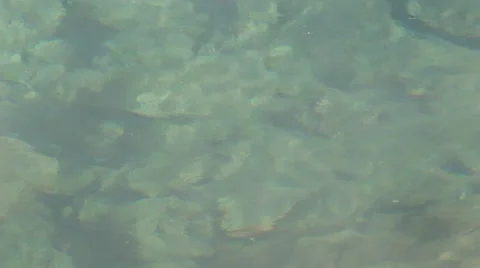 Steaming Geyser Pool Zoom Out Stock Footage 34245848